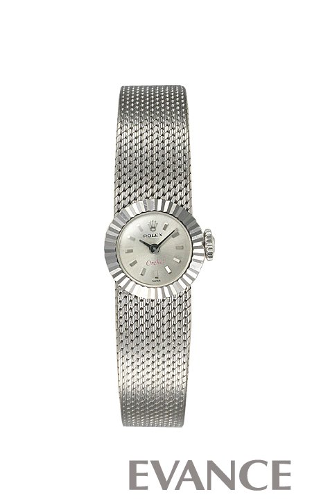 ROLEX ロレックス アンティーク カメレオン オーキッド